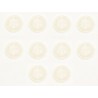 Shock membrane (10)
