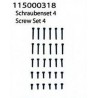 Screw set 4