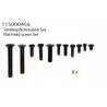 flat head screw set