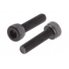 Screw allen cilinderhead  m3x12 (10)