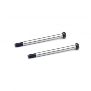 Hingepin FR outer (2) SRX8