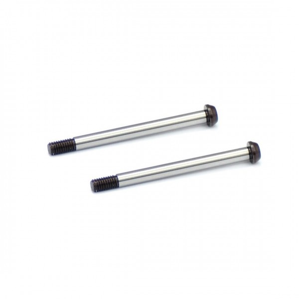 Hingepin FR outer (2) SRX8