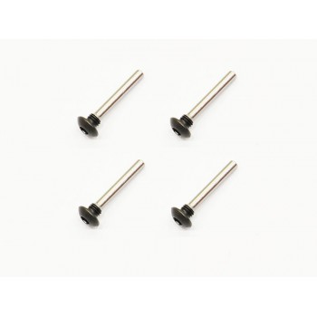 Clutch screw (4)