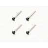 Clutch screw (4)