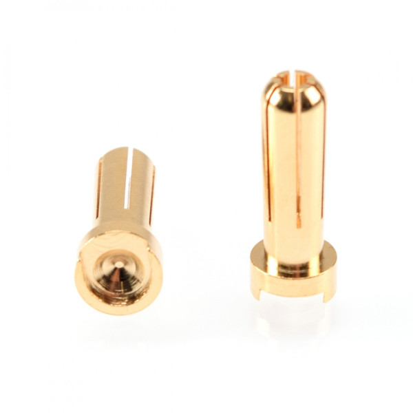 5mm Gold Plug Male (2pcs)