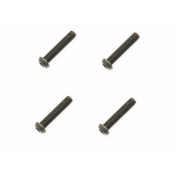 Special screw fr whisbone (4)