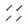 Special screw fr whisbone (4)
