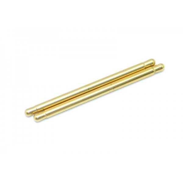 Hingepin fr / rr TiN coated (2)