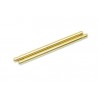 Hingepin fr / rr TiN coated (2)
