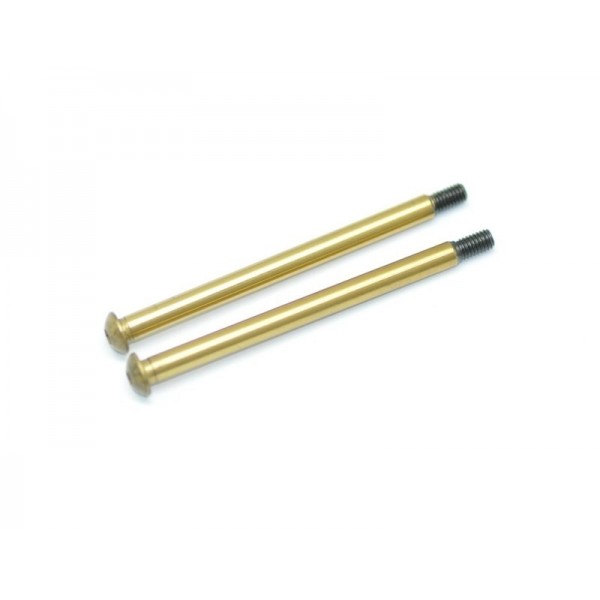 Hingepin rr outer TiN coated (2)